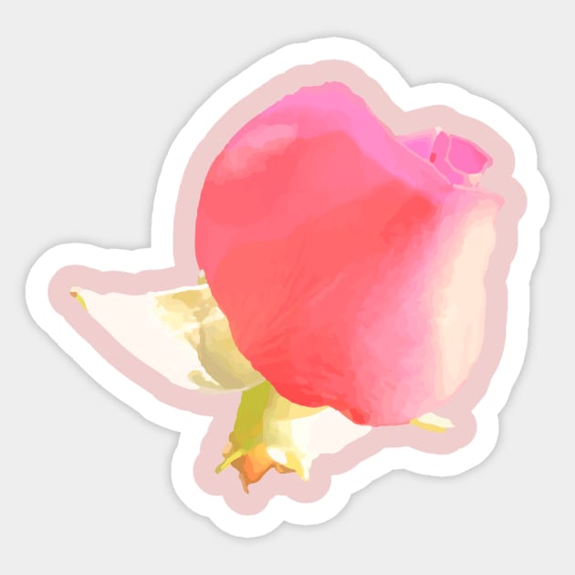 Painted Rose Sticker by corey_albrecht